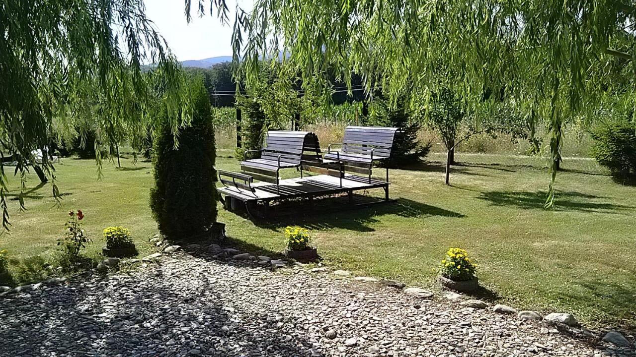 Pensiunea Maya Sîmbăta de Sus 외부 사진