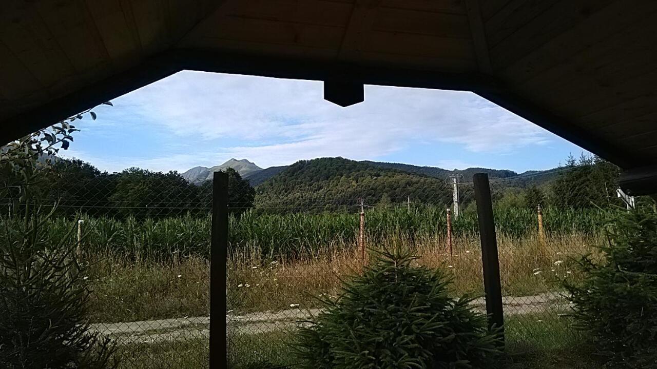 Pensiunea Maya Sîmbăta de Sus 외부 사진
