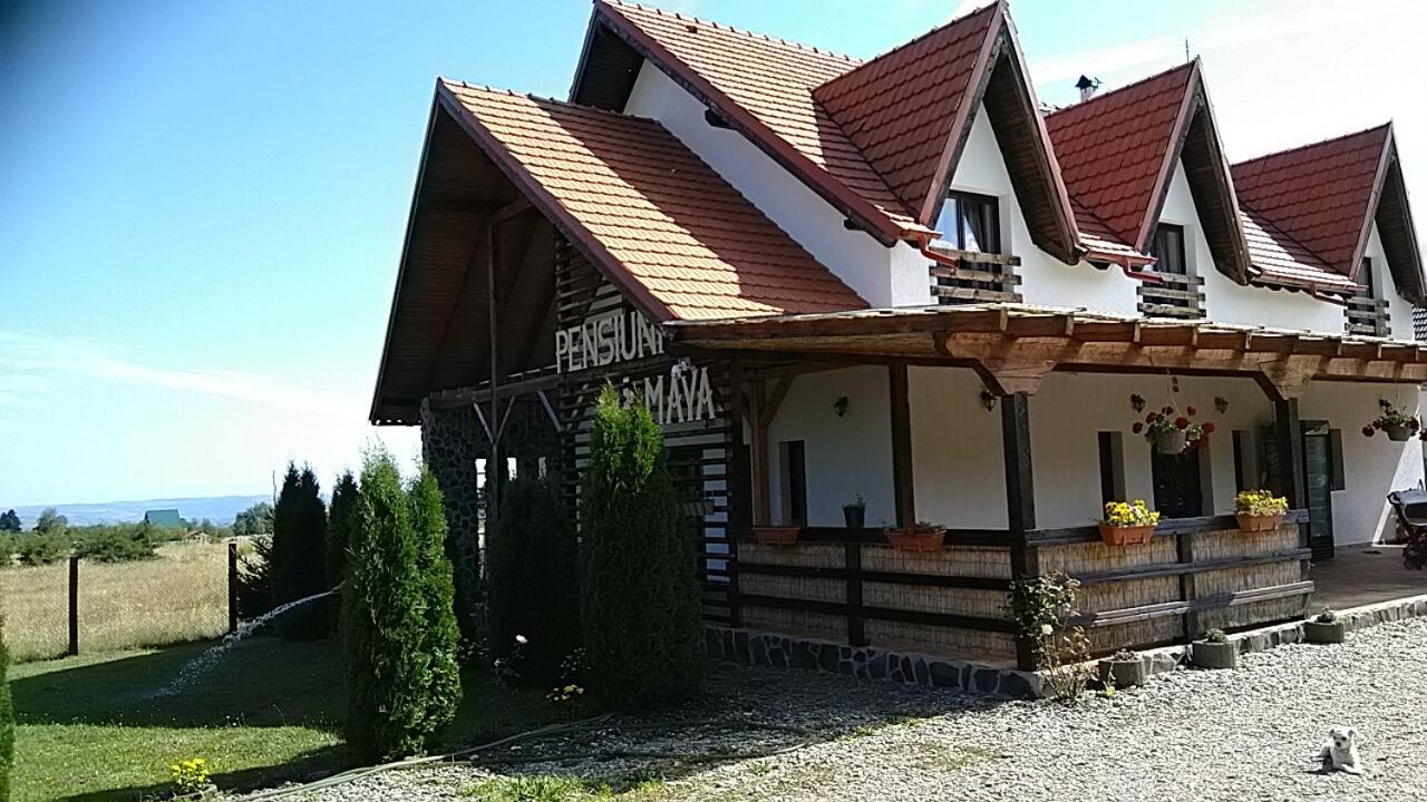 Pensiunea Maya Sîmbăta de Sus 외부 사진