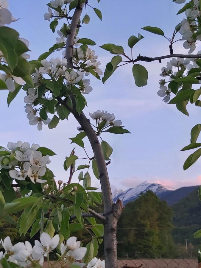 Pensiunea Maya Sîmbăta de Sus 외부 사진