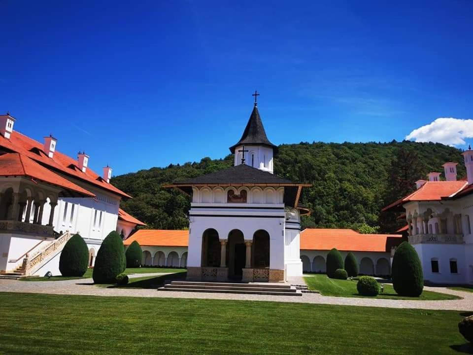 Pensiunea Maya Sîmbăta de Sus 외부 사진
